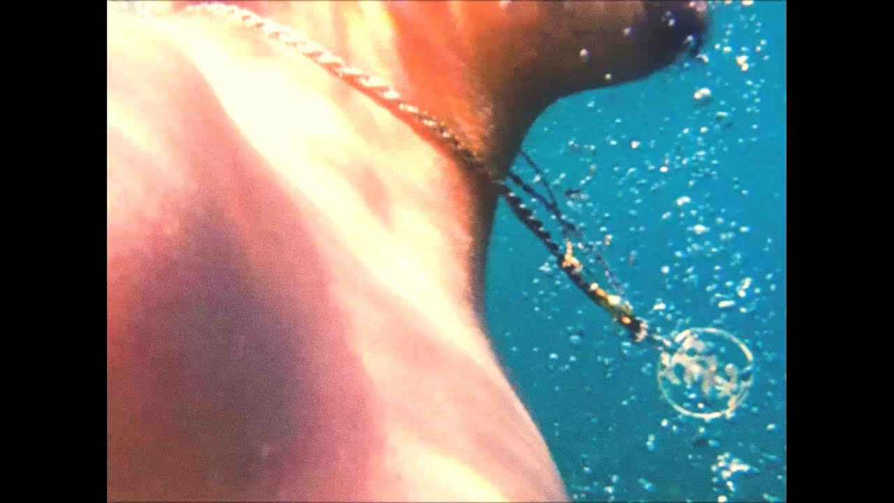 EM3GE - EVERYWHERE ( Music Video)