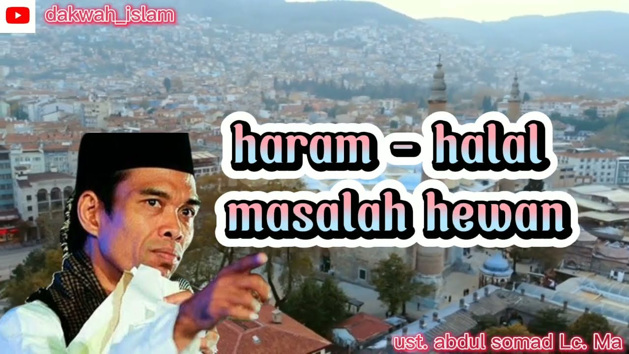 wow‼️halal haram hewan untuk di makan !! ustadz abdul somad. Lc.Ma #ceramahagama #fyp