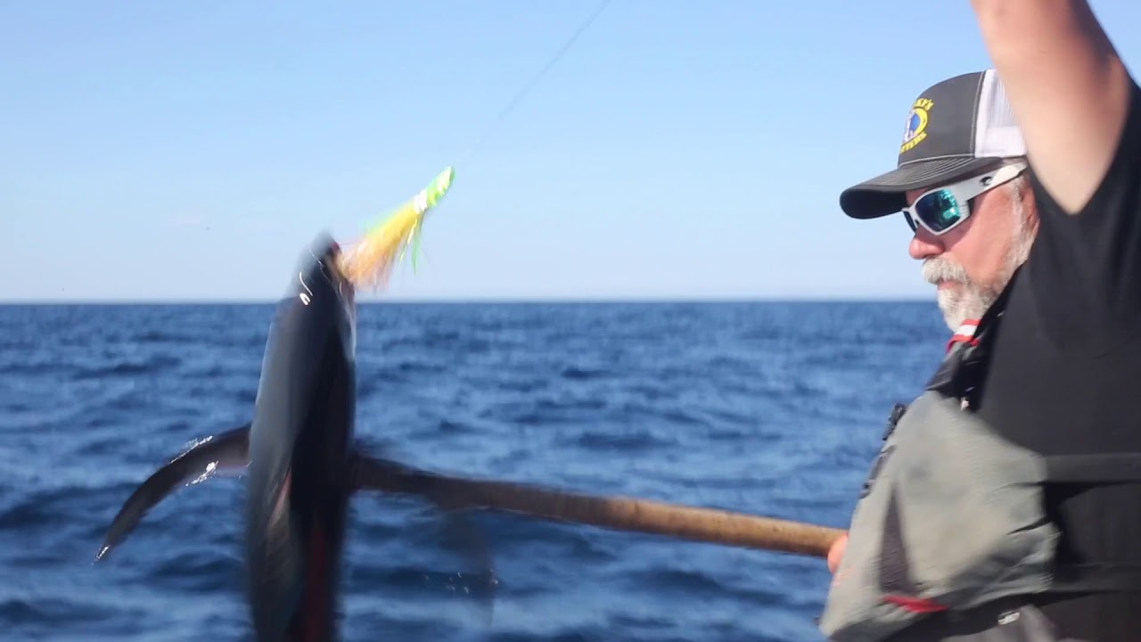 Sharky's Charters TUNA FISHING out of Charleston, Oregon AWESOME DAY OF FISHING