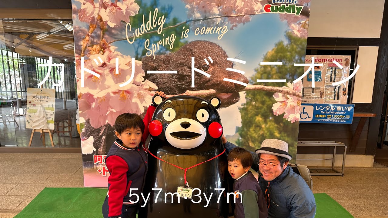 【熊本🐻】カドリードミニオン🐻