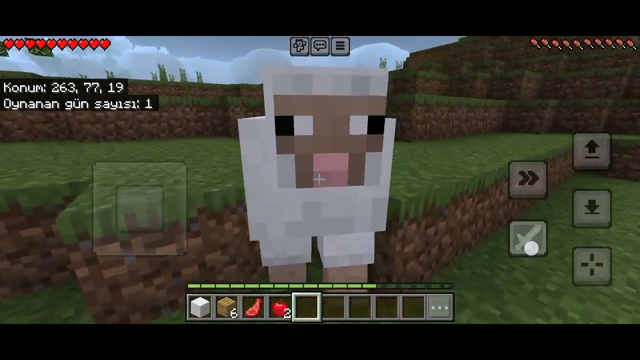 TUNANIN MİNECRAFT DÜNYASI BÖLÜM 2