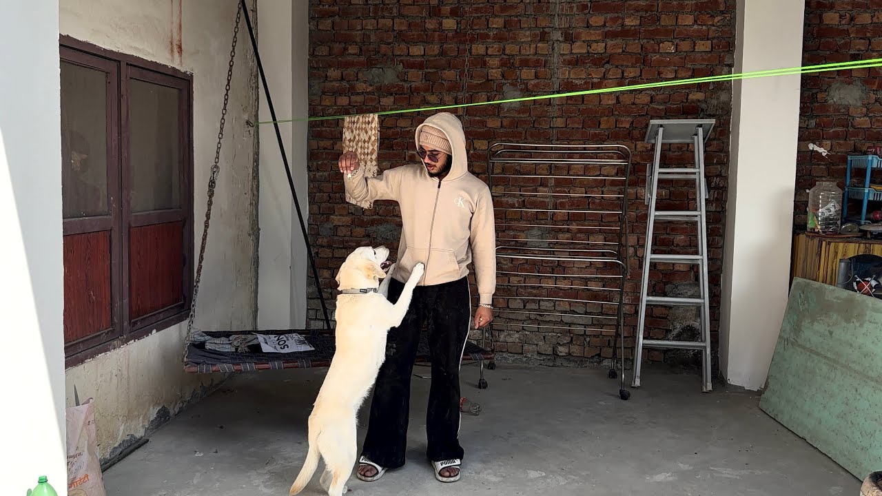 daily life with lucy❤️ ||deepghotravlogs