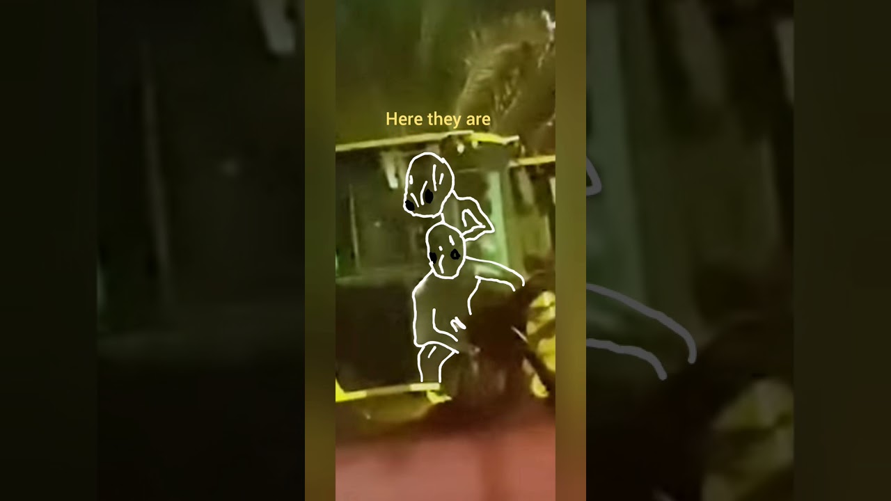 Alien in my backyard for those who cannot see them|Las Vegas| UFO
