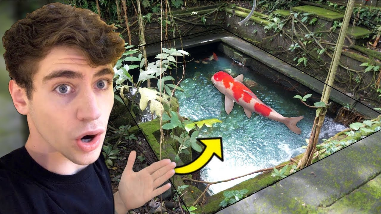 Hidden KOI POND in Sacred  Forest... (enter at own risk)