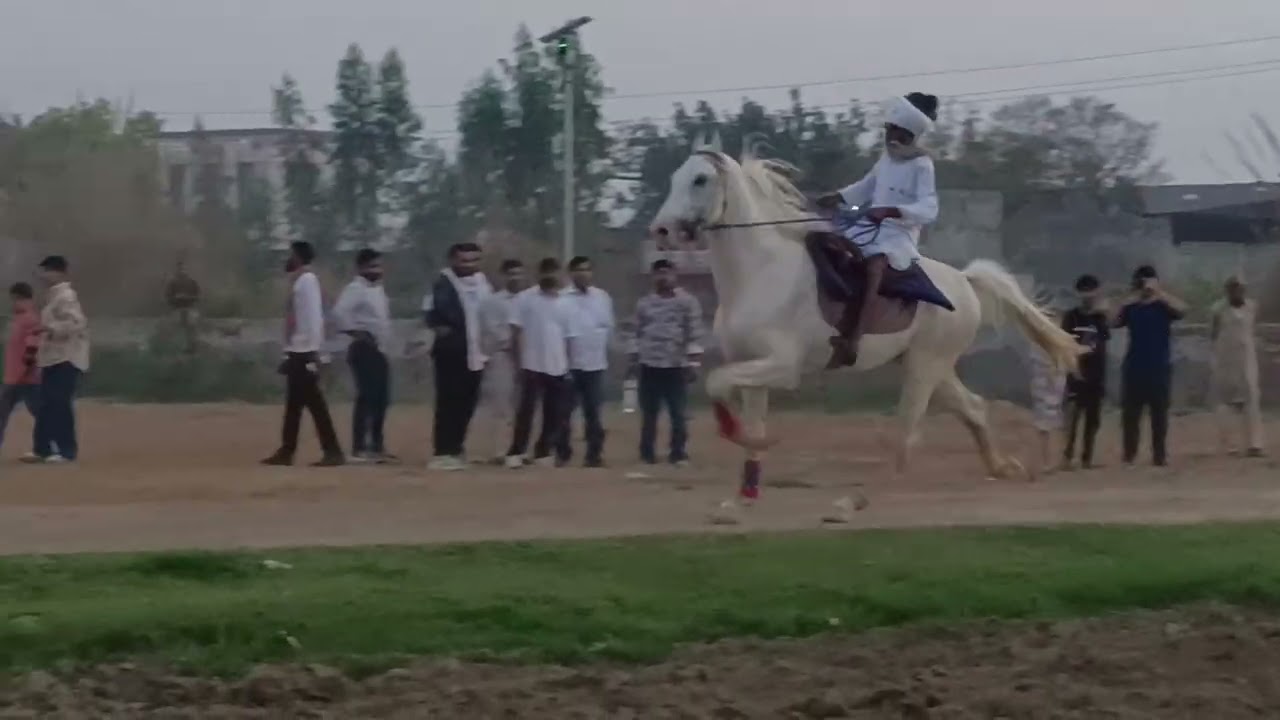 Asoda Haryana rewal chaal