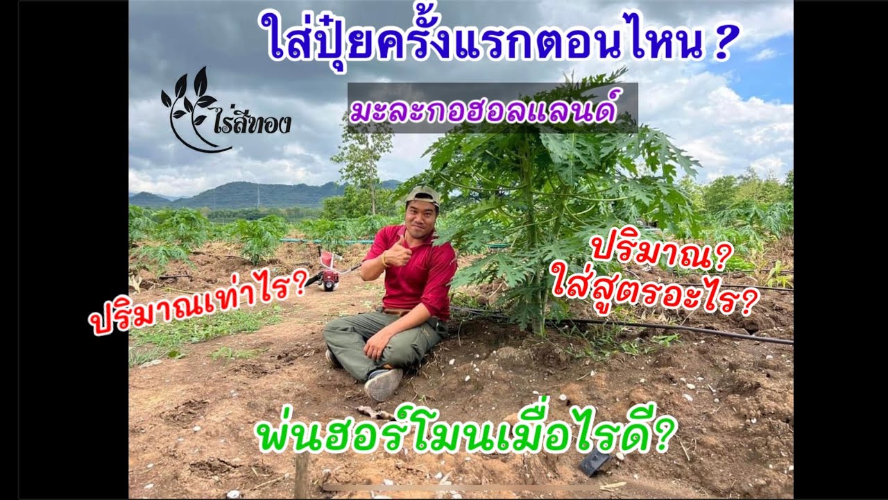 ใส่ปุ๋ยครั้งแรกให้ถูกเวลา! ต้นโตไว ออกดอกเร็ว !