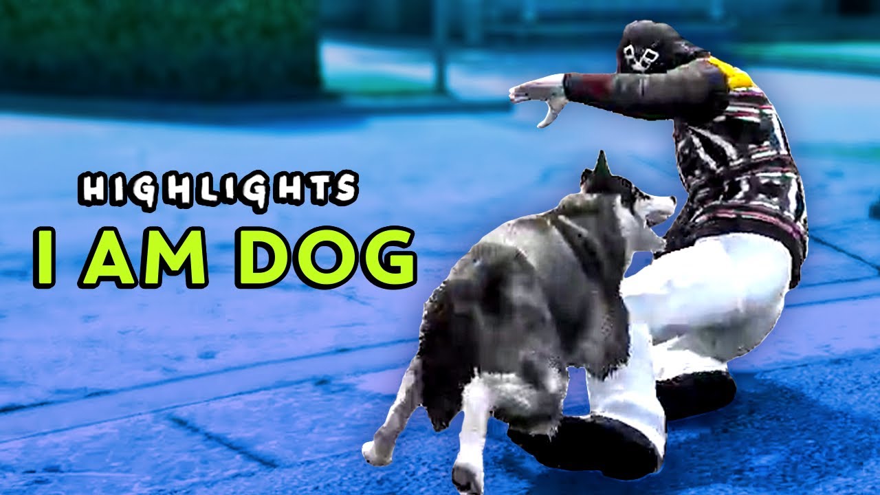ANGRY DOG RP &bull; GTA RP HIGHLIGHTS