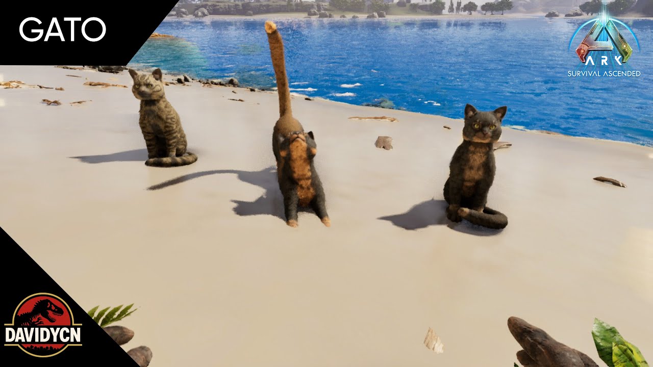 como DOMESTICAR a tu GATO en Ark Survival Ascended | como domesticar a tu.... |