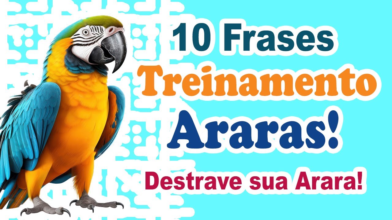 Ensinando arara a falar com 10 diferentes frases! 10 frases para ensinar arara a falar!