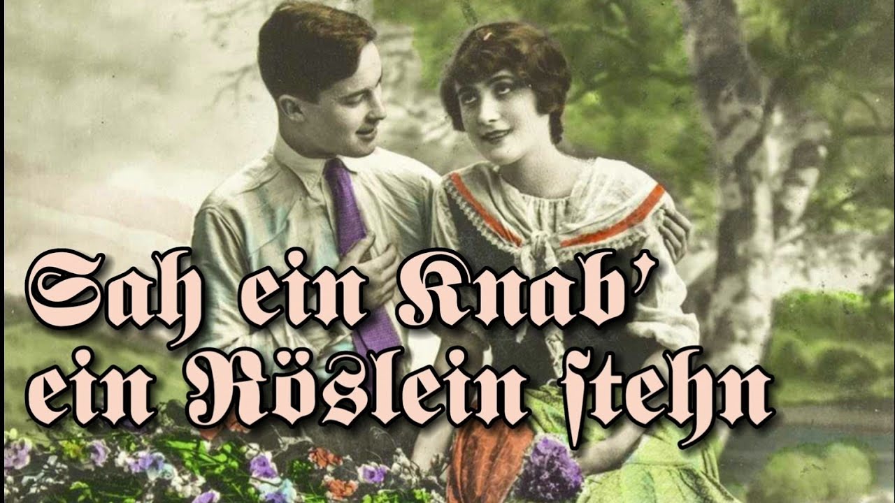 Sah ein Knab ein Röslein stehn | German Folk Song | English Subtitles