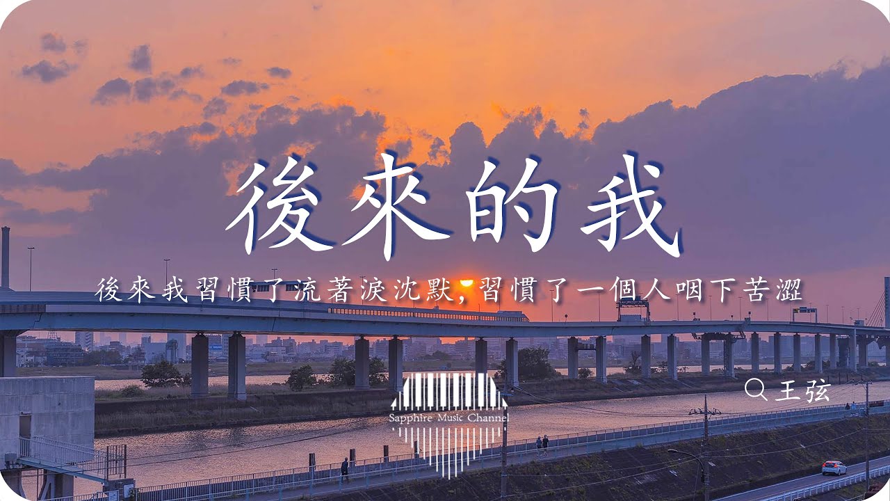 王弦《後來的我》/後來我習慣了痛苦也不說，習慣了驚慌也不動聲色，習慣用燦爛的笑容，否認我曾經哭過/💎熱歌速遞 ♫動態歌詞lyrics/pīn yīn gē c&iacute; ♫