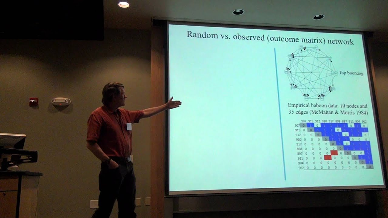 The orderly universe of dominance hierarchies as social networks (David B. MdcDonald)