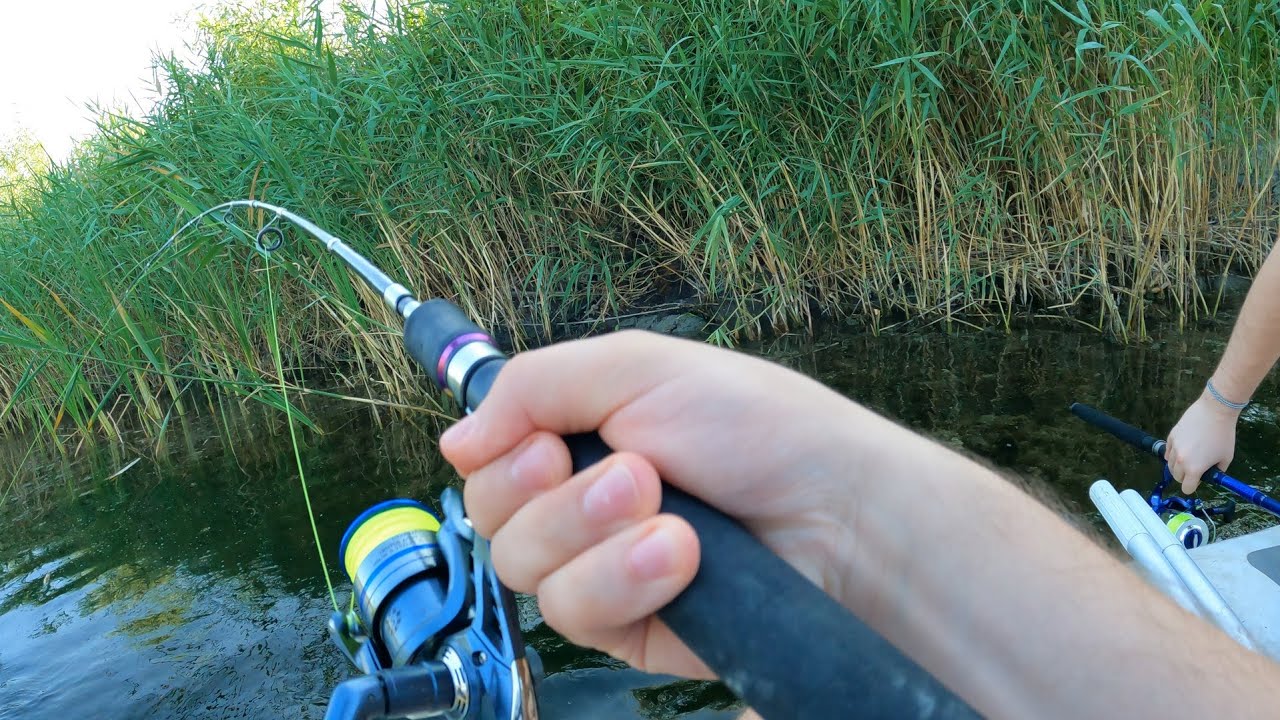 Vlog Dunare - Multa activitate + plimbare pe Lacul Razim si Solomon