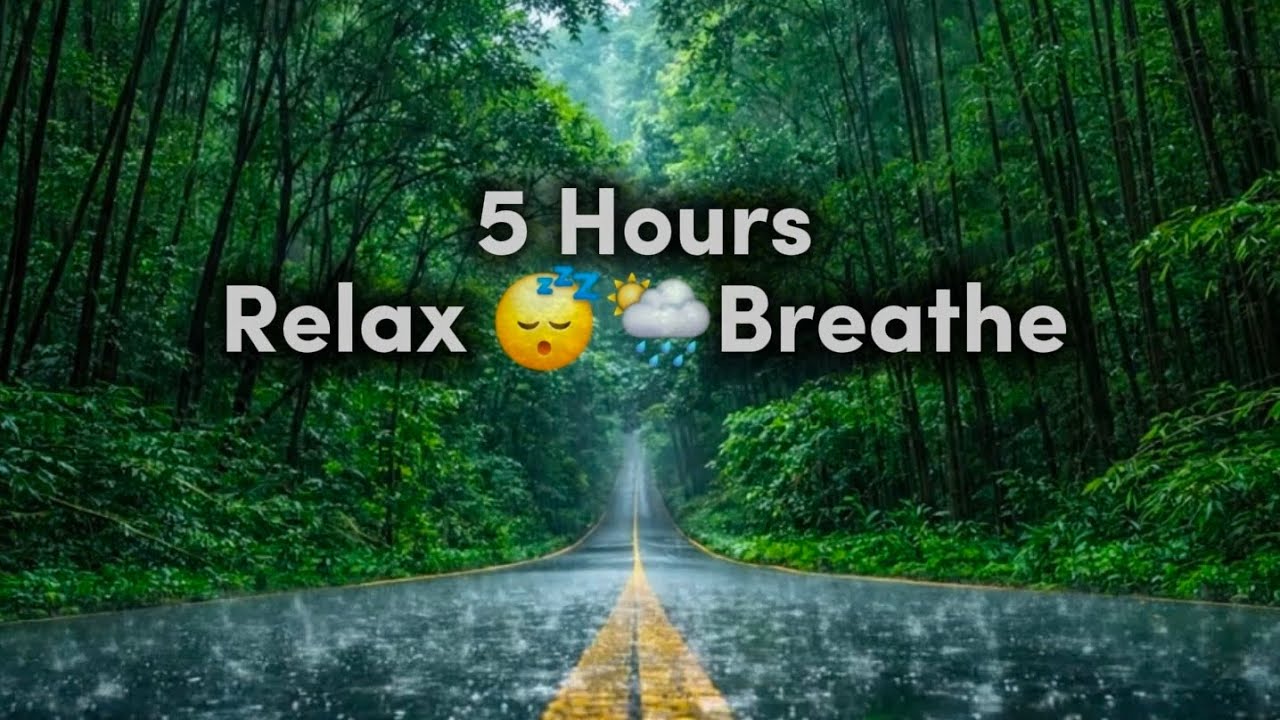 5 Hours Rainy Road in Bamboo Forest 🌧️ | Deep Relaxation, Sleep & Stress Relief😴🌦