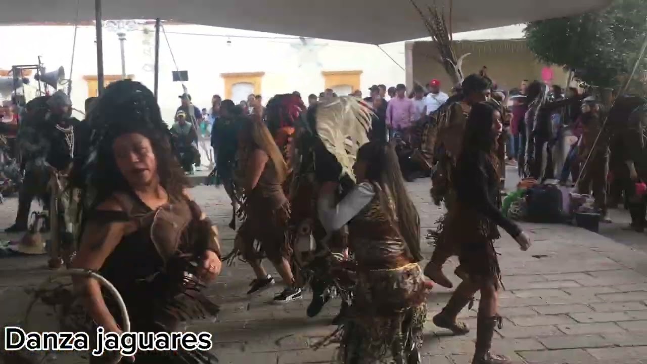 Danza apache jaguares en honor al divino salvador,San Pablo toliman Qro 2025