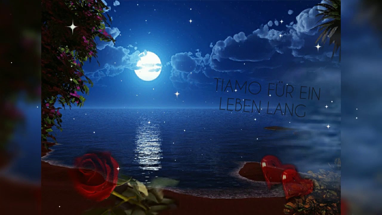 Tommy Steib  - TIAMO FÜR EIN LEBEN LANG