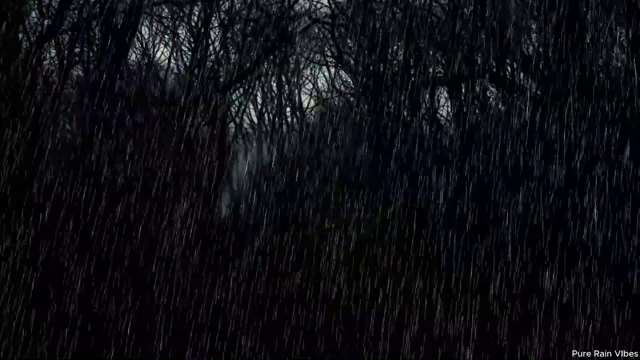Sleep Deeply with Dark Screen Heavy Rain Sounds