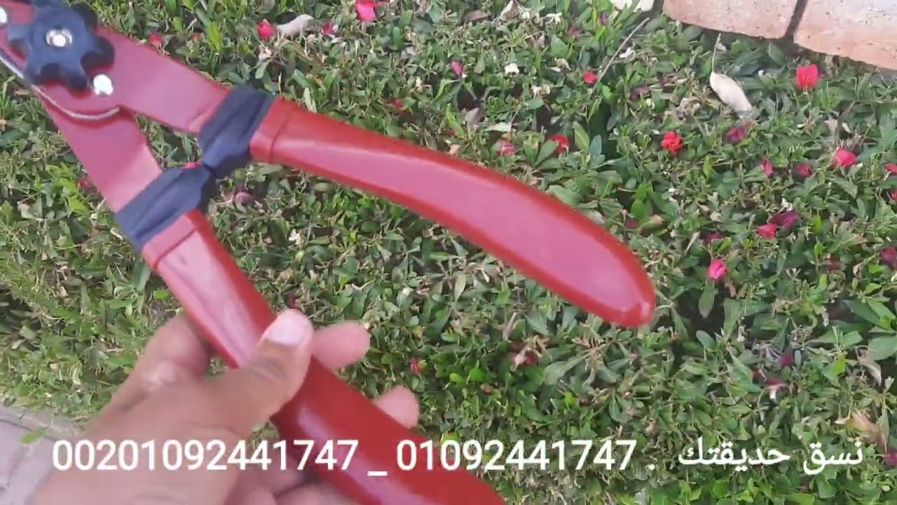 يوم من شغلي . اشتريت مقص جديد من محل أدوات الحديقة