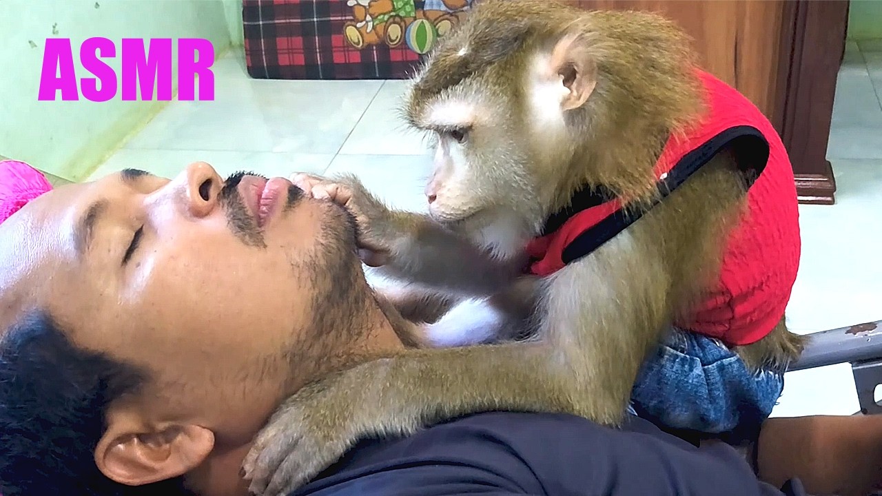 Dr. LYLY Triggers Chin Hair Fast & Intense Scalp Grooming For Deep Sleep