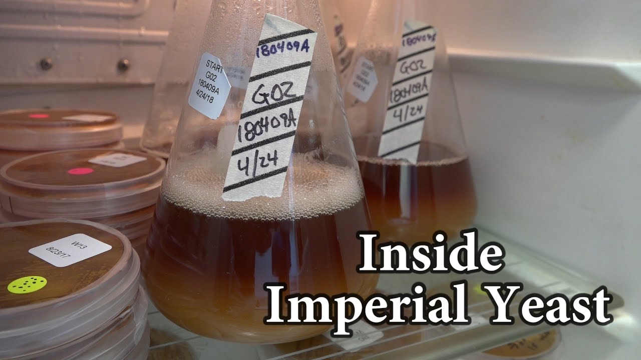 Inside Imperial Yeast (Full Tour Video)