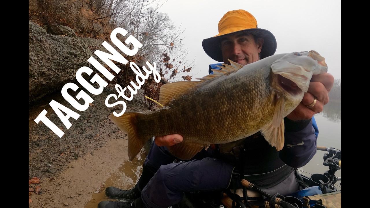 Fish Tagging Potomac River Smallmouth Bass