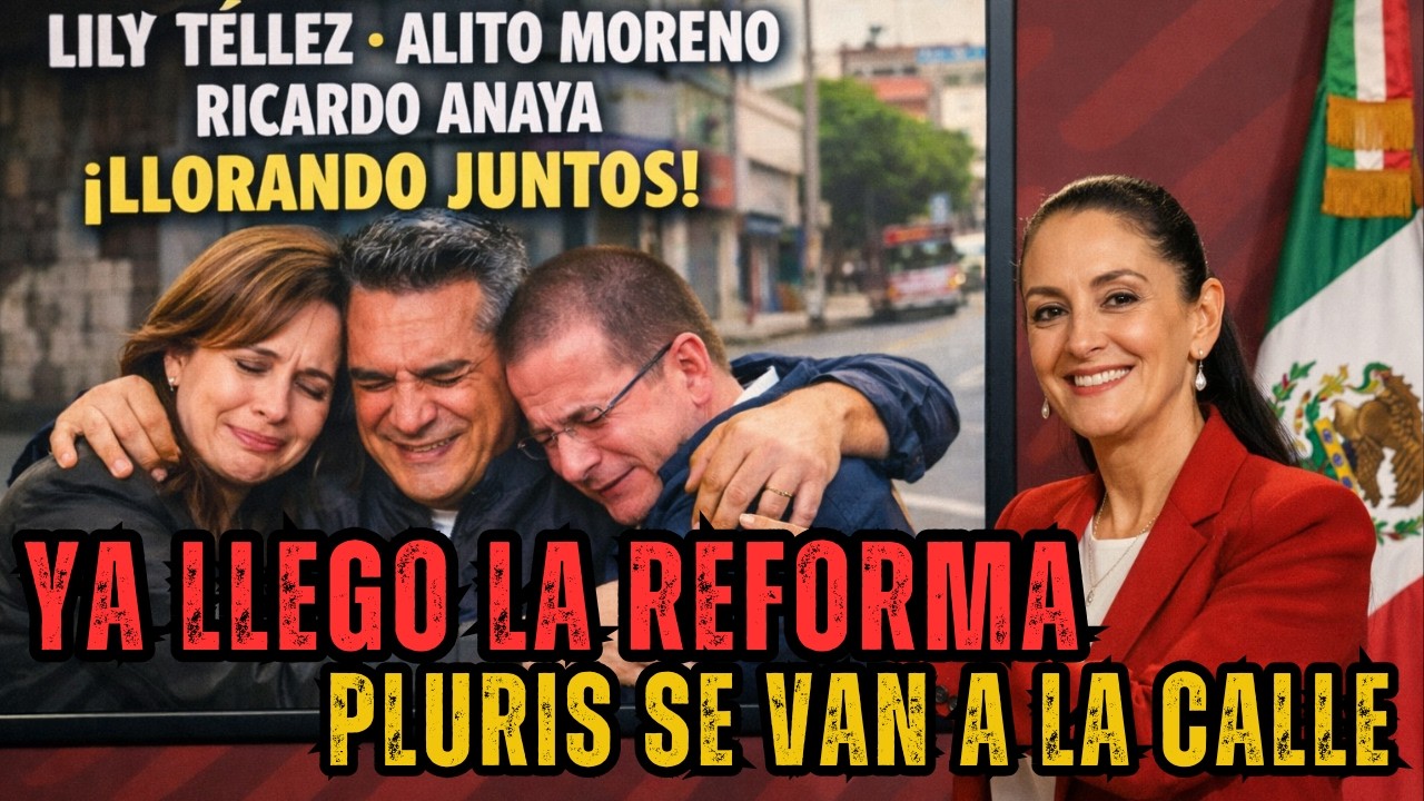 Pluris SE VAN a la CALLE! Llega la Reforma Electoral