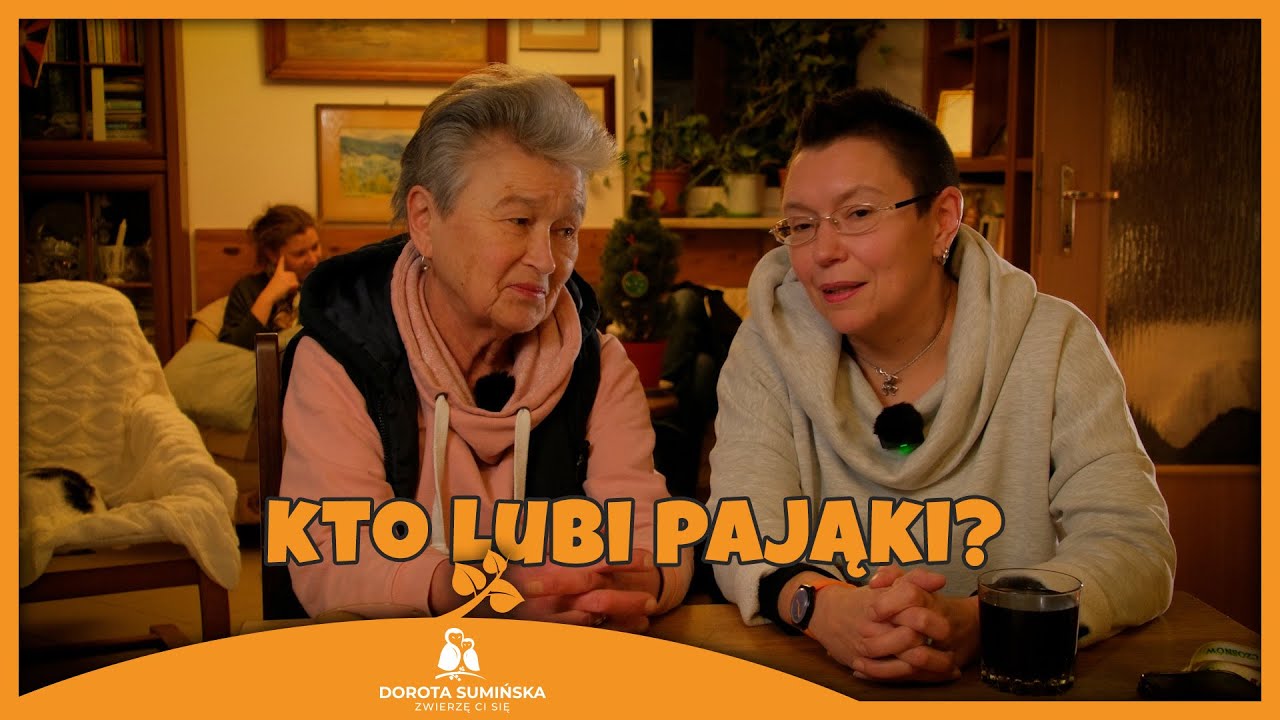 Kto lubi pająki?