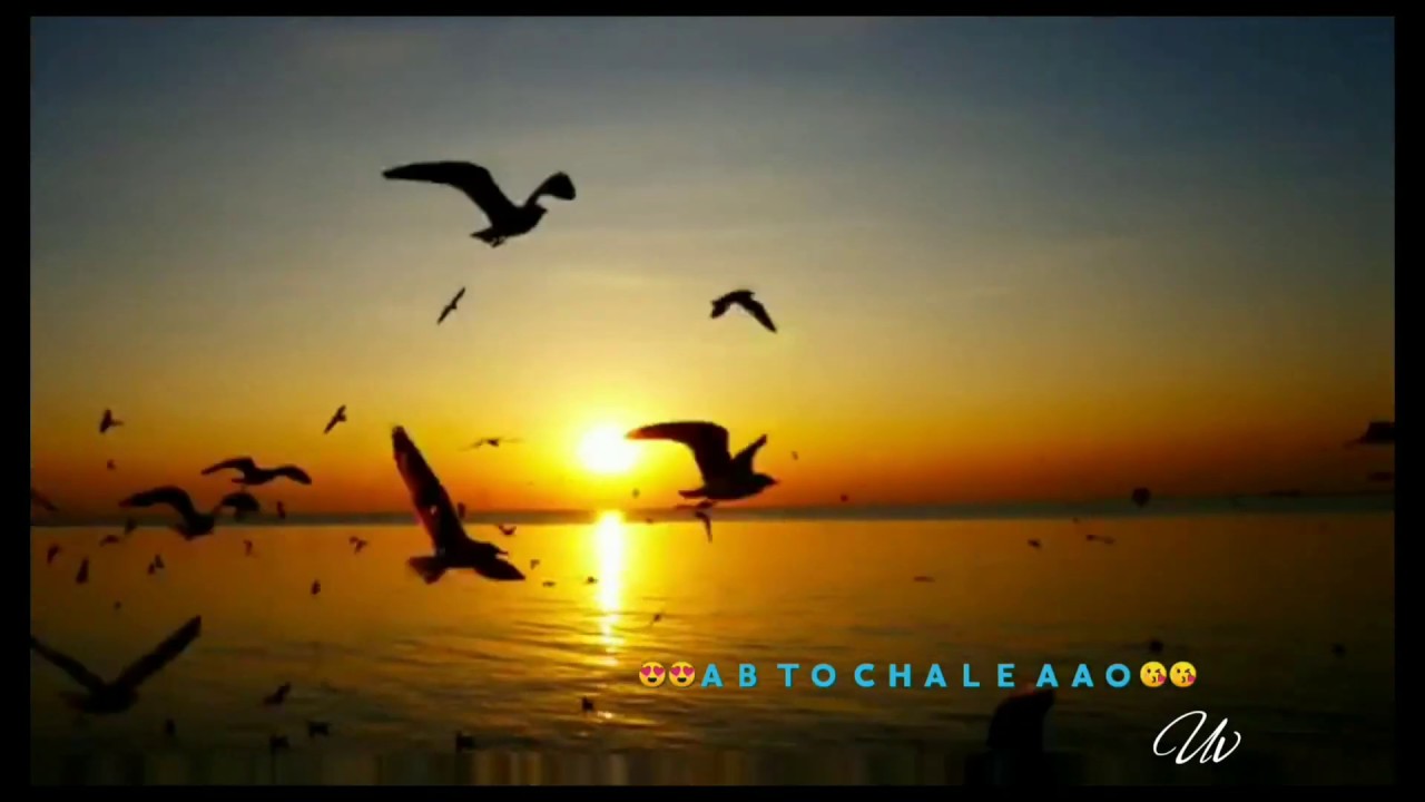 Beautiful sunset view with melody song | sunset whatsapp status