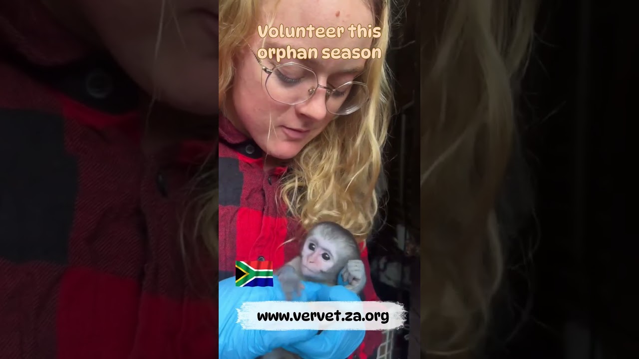 Stuck in a rut, need adventure, looking for something different, love monkeys