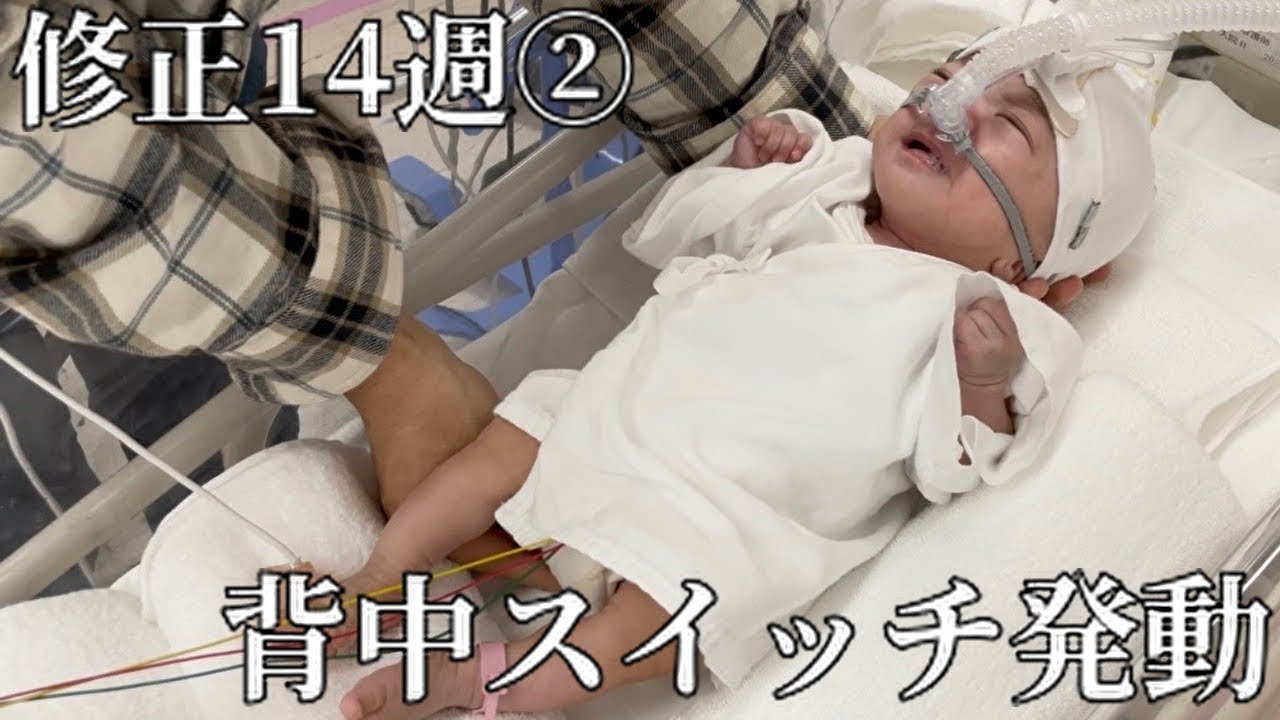 生後6ヶ月｜背中スイッチを実装した赤ちゃんが面白すぎました🤣｜未熟児成長記録｜早産