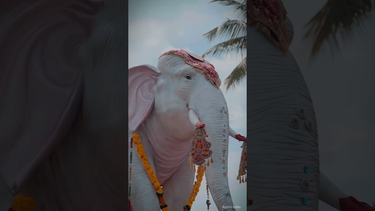 #dasaracelebration