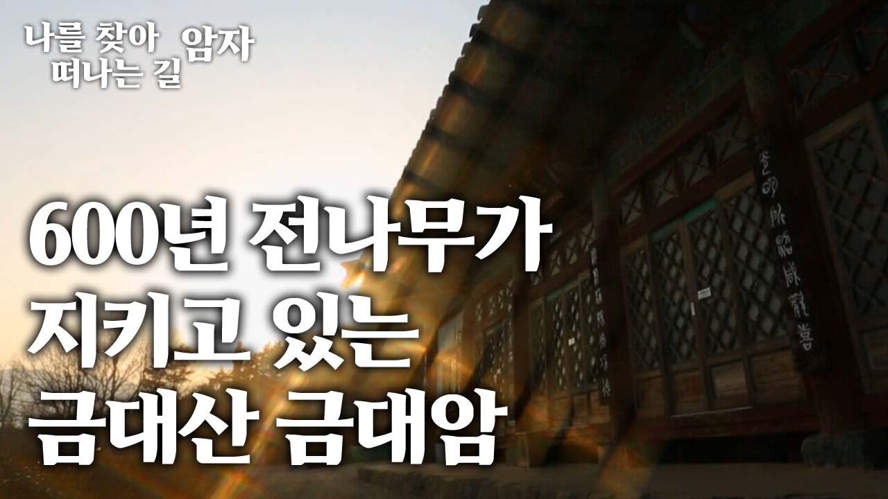 지리산 천왕봉이 보이고 600년 전나무가 지키고 있는 금대산 금대암  [나를 찾아 떠나는 길, 암자]