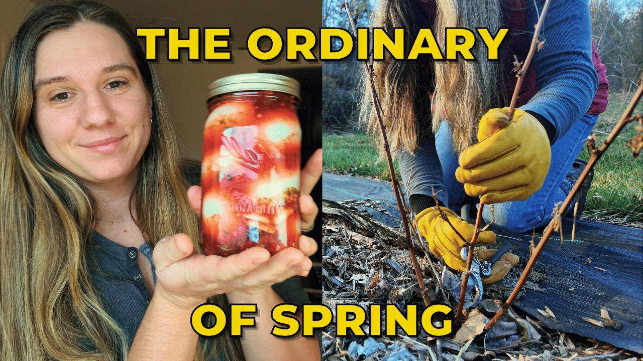 Pickled Eggs & The Ordinary Work of Early Spring