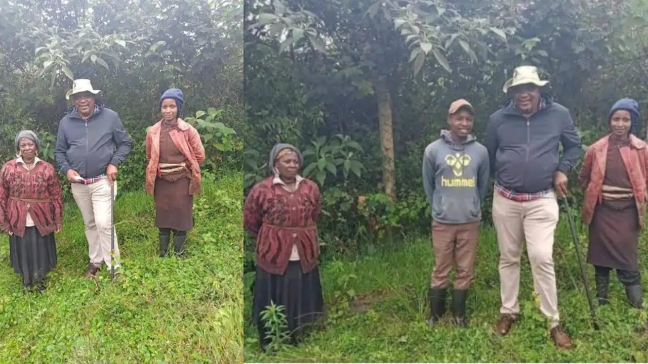JOY!! PRESIDENT UHURU FINALLY GIFTS COWS TO GATUNDU FAMILY AFTER A SURPRISE ENCOUNTER IN FOREST!!
