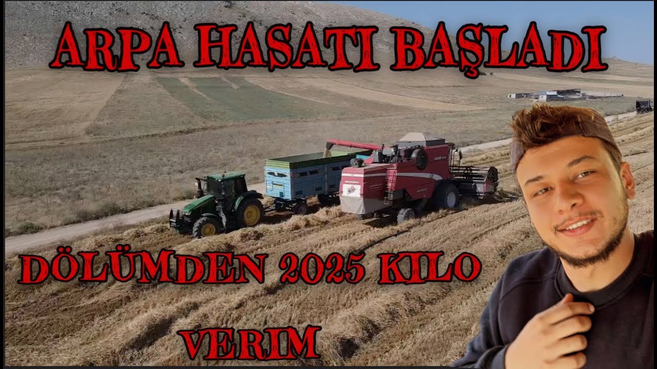 2023 HASAT ZAMANI / ARPA TARLASINI BİÇİYORUZ/DÖNÜMDEN 2025 KİLO REKOR VERİM