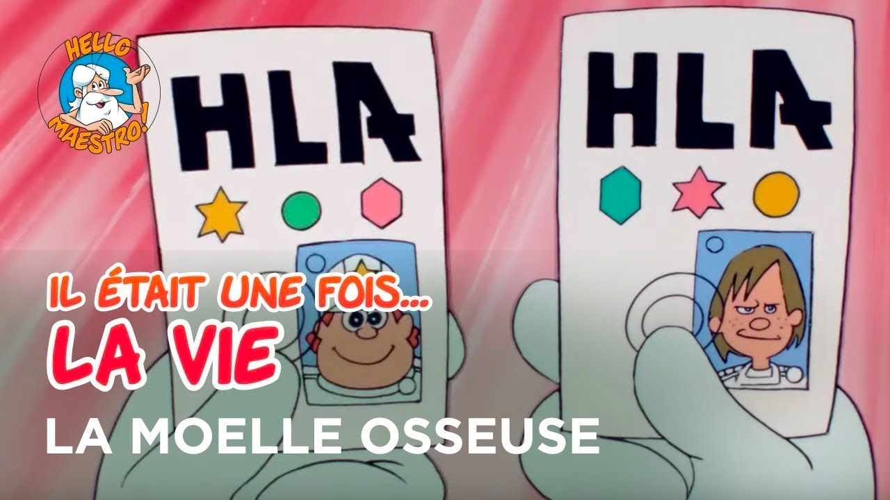 Il &eacute;tait une fois... la Vie 🌱- La moelle osseuse 🍖