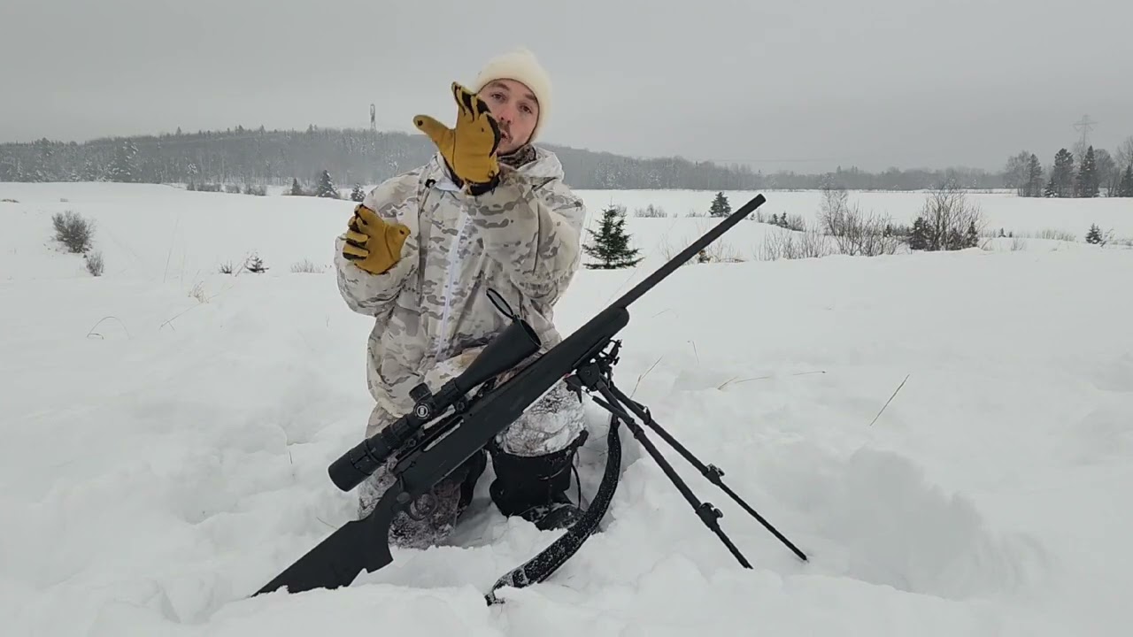 Capsule Chasse au coyote
