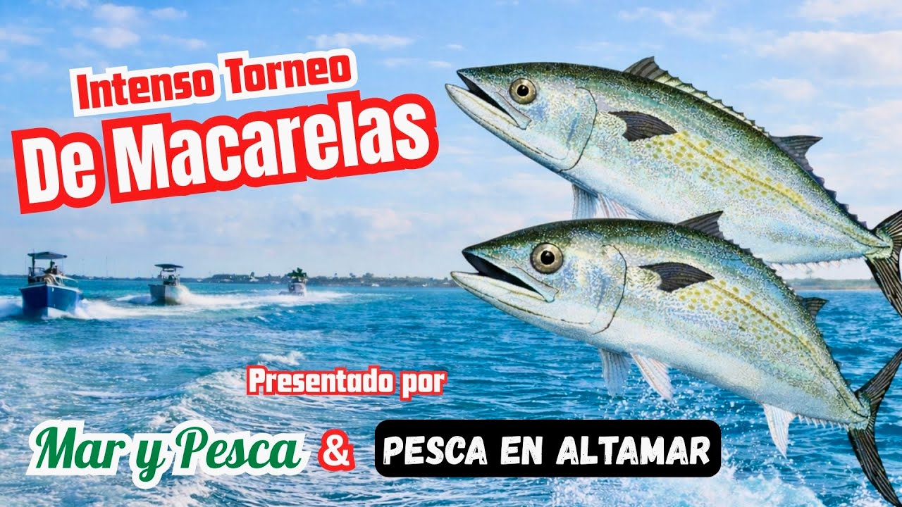 Intenso Torneo de Macarelas