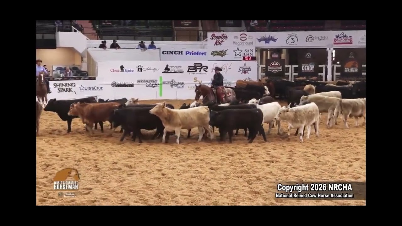Senor Shiney Cat 2026 Worlds Greatest Horseman Herd