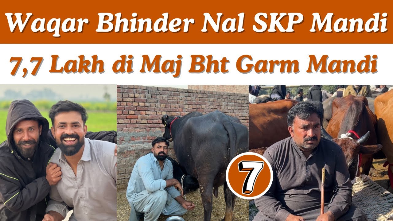 Waqar Bhinder Nal Shaikhupura Mandi Gaye 7,7 Lakh di Ak Maj 😳😳
