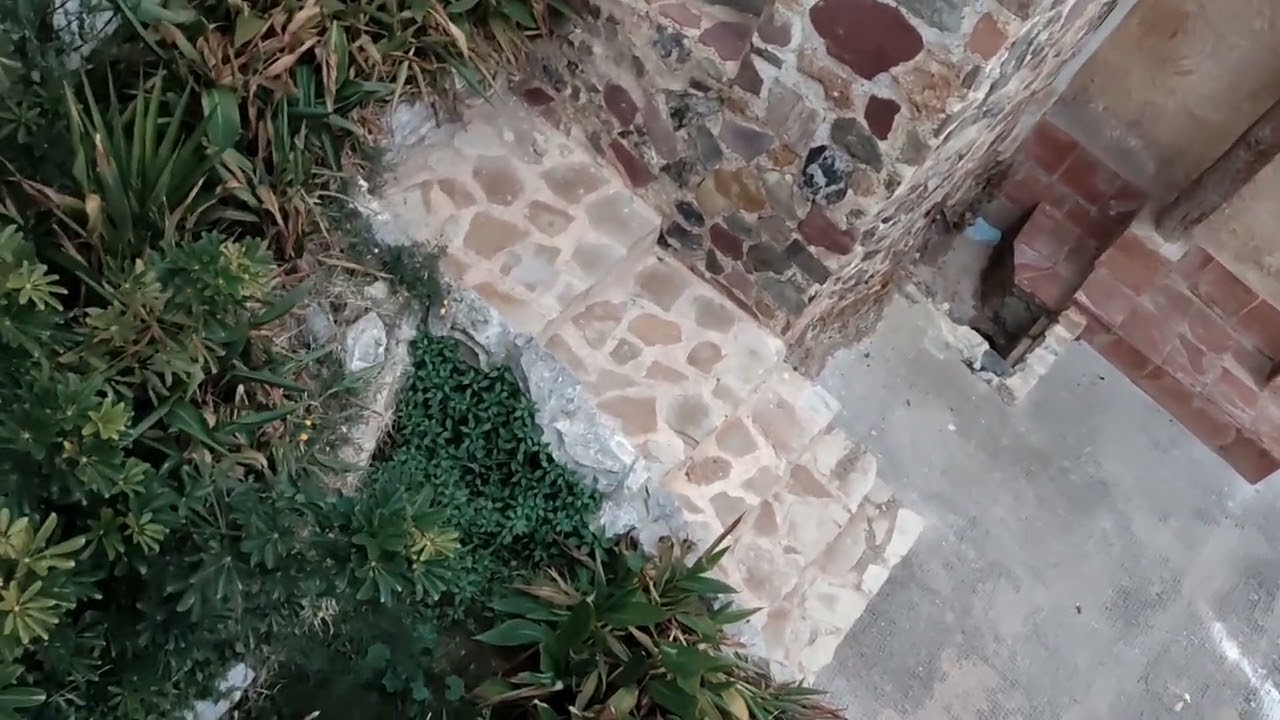 Ruta urbana y árbol de Navidad en Tuejar. 13-12-2025