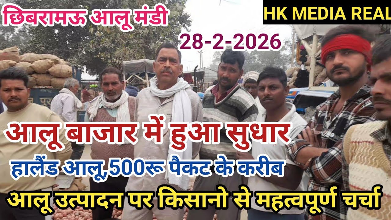 28- फरवरी-2026- आलू बाजार में हुआ सुधार, बाजार हुए टाइट, हालैंड 500रू पैकट के करीब, छिबरामऊ मंडी