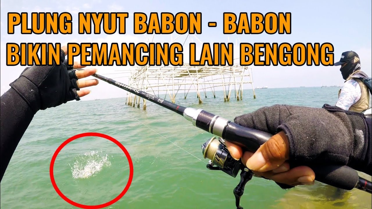 Mau tau Cara Mancing ikan kakap Batu ? Setting Joran Kamu Seperti Ini, di Jamin Strike !!