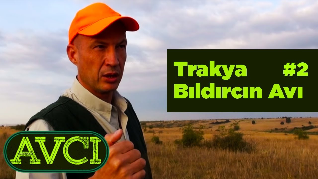 Trakya Bıldırcın Avı 2 Avcı - Yaban Tv