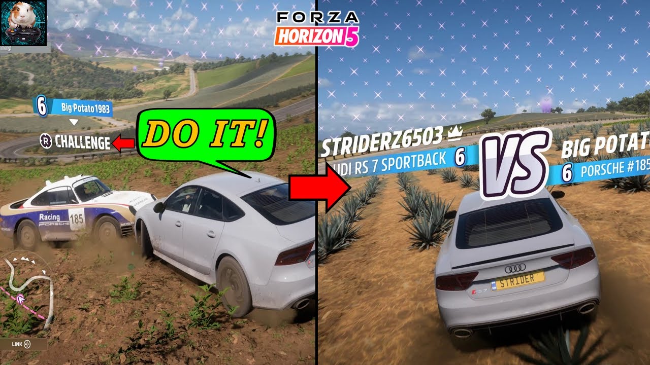 CHALLENGE: They Must Challenge Me! - Forza Horizon 5 Eliminator