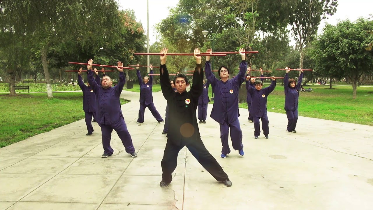 Taiji Yangshen Zhang - Baston Taichi para la salud