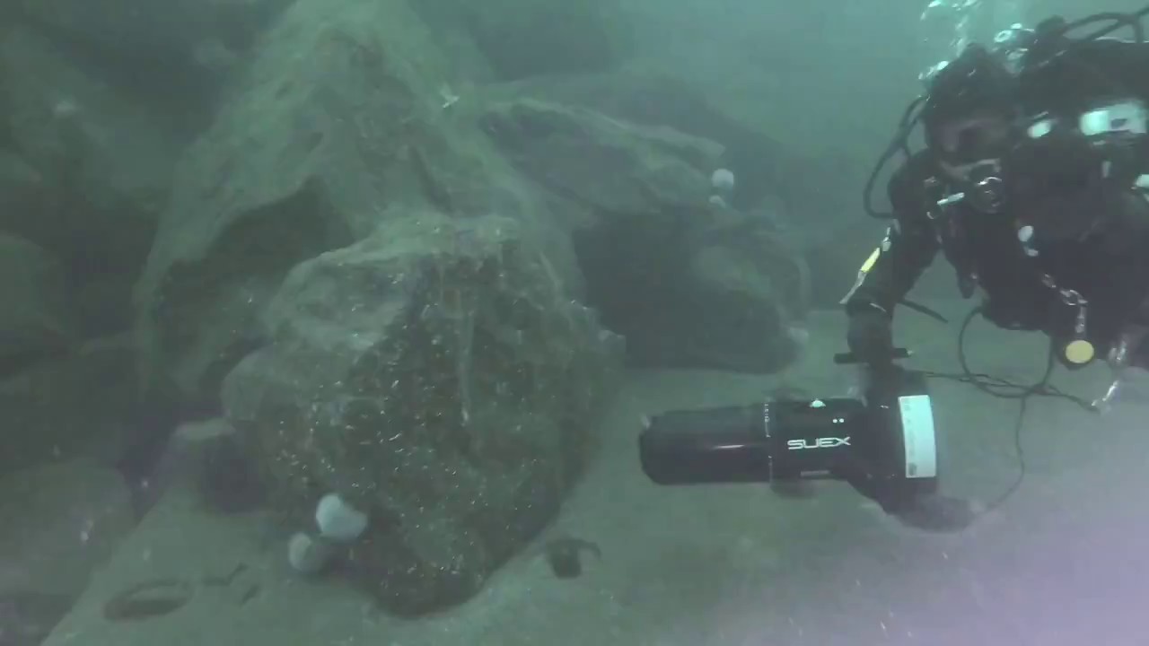 Suex VR Diving