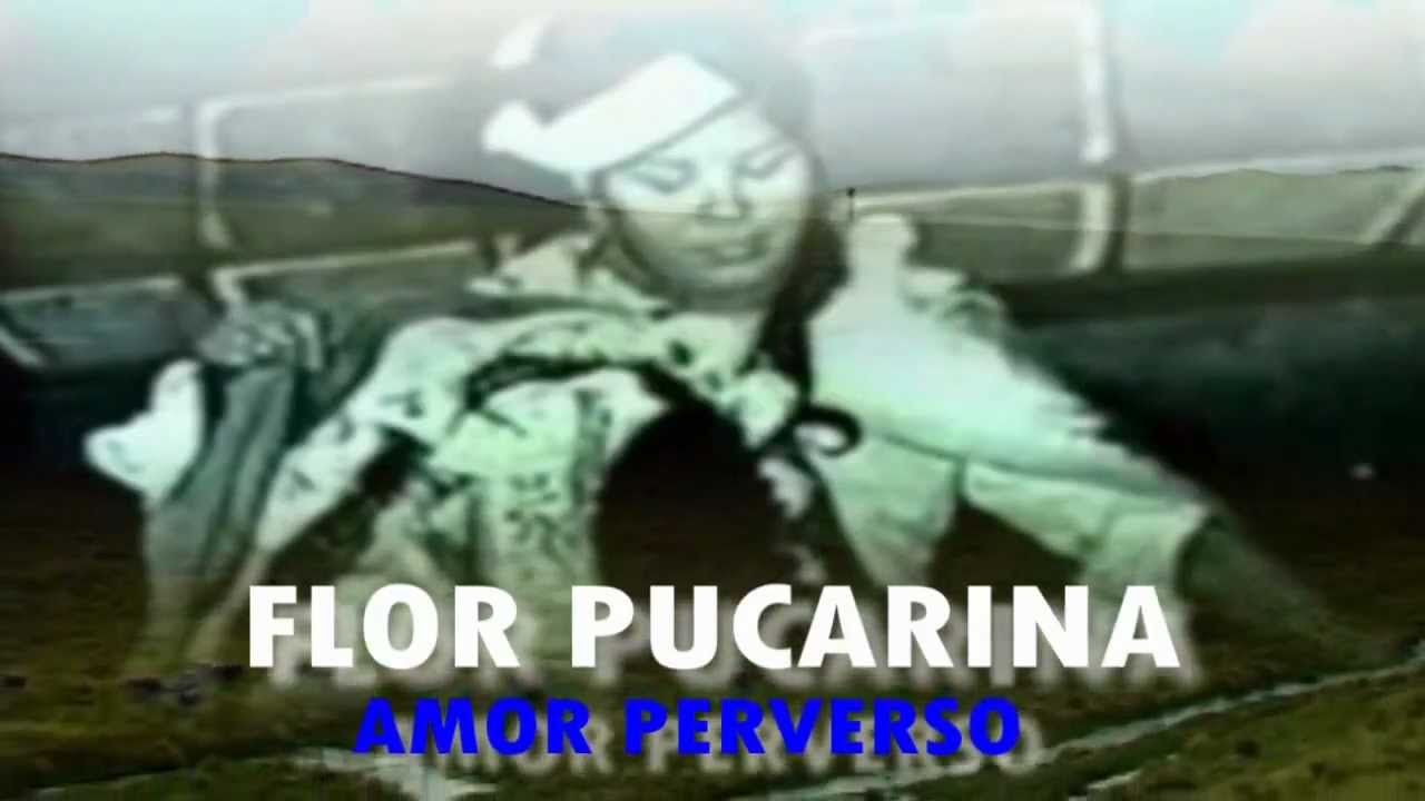 Amor Perverso / Flor Pucarina / Huancayo - Peru