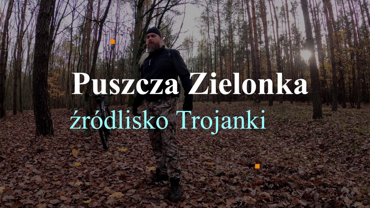 Puszcza Zielonka - źródlisko Trojanki