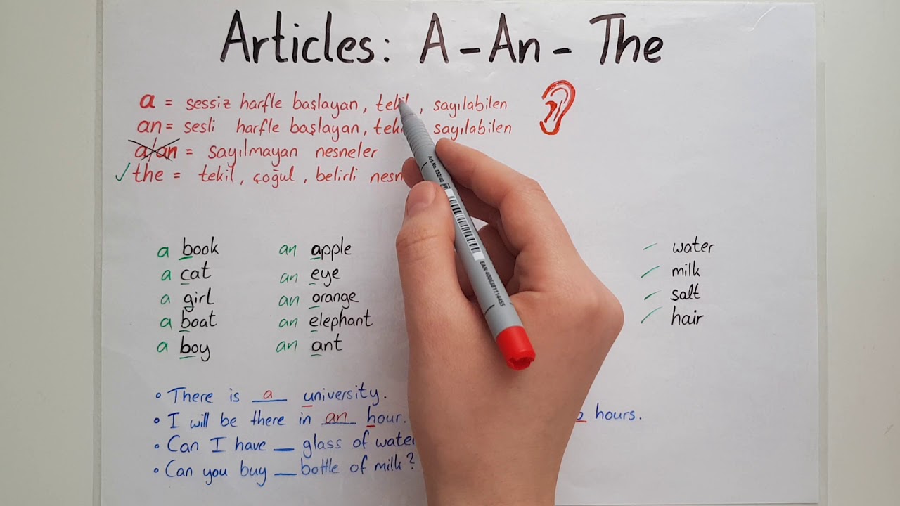 Ingilizce Articles: A- An- The + Pratik